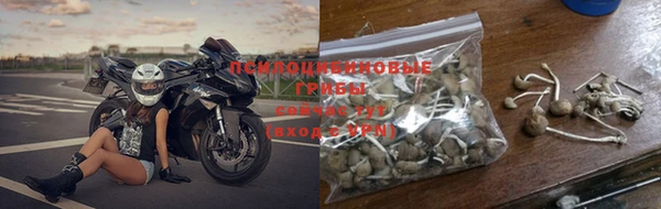 шишки Карпинск