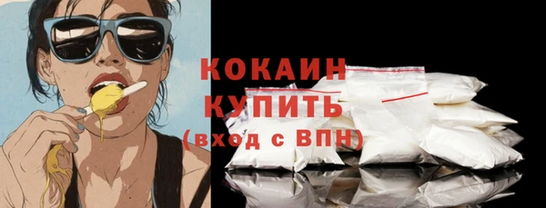 шишки Карпинск