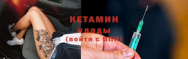шишки Карпинск