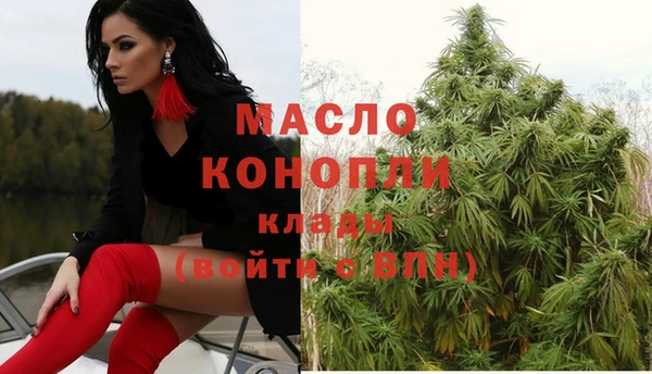 шишки Карпинск