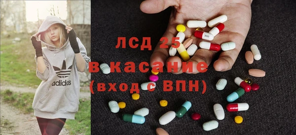 шишки Карпинск