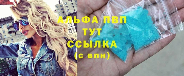 шишки Карпинск