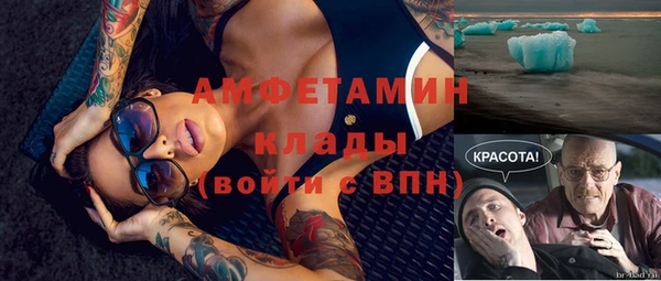 шишки Карпинск