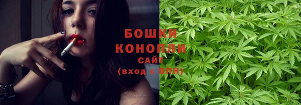 шишки Карпинск