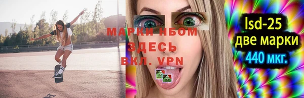 шишки Карпинск