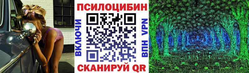 где продают   Армавир  Галлюциногенные грибы GOLDEN TEACHER 