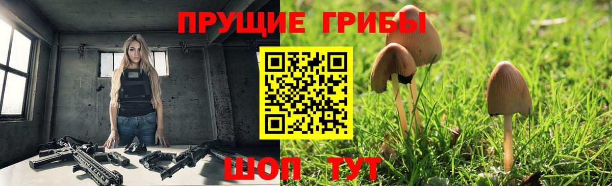 Галлюциногенные грибы Cubensis Армавир